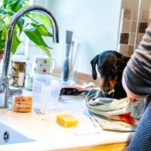 Load image into Gallery viewer, Cosy Companions Pet Shampoo Bar (vegan)