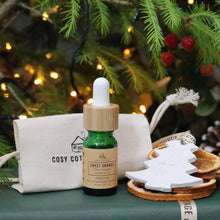 Load image into Gallery viewer, Clay ChristmasTree & Essential Oil In A Bag