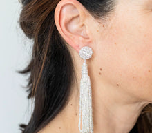 Load image into Gallery viewer, The Finley Earring Silver
