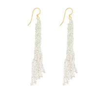 Load image into Gallery viewer, The Lissa Earring Palm Springs
